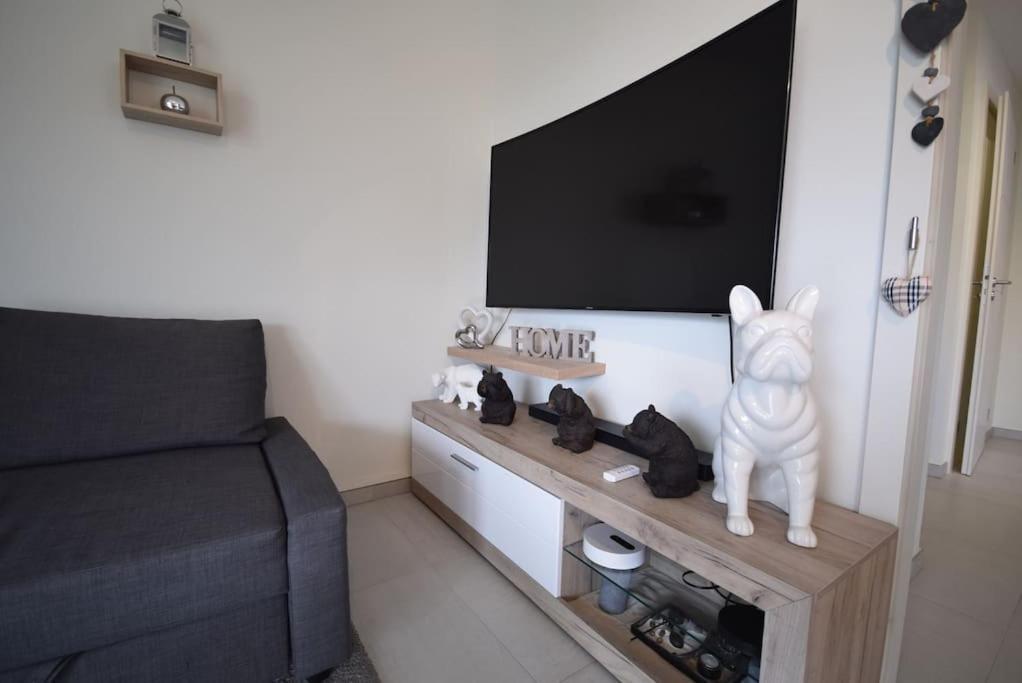 Appartement セレスタ エクステリア 写真